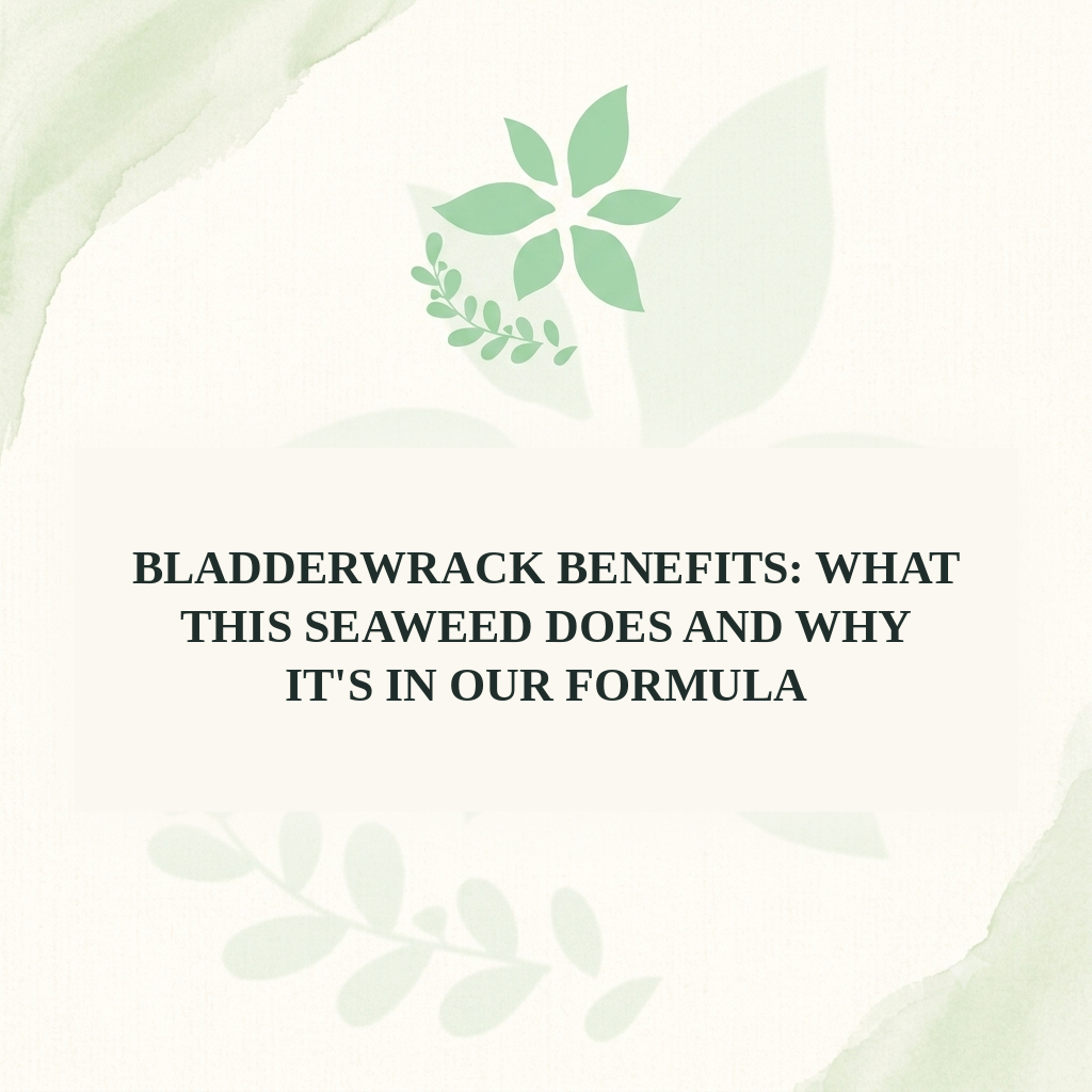 Bladderwrack Benefits: What This Seaweed Does and Why It's in Our Formula