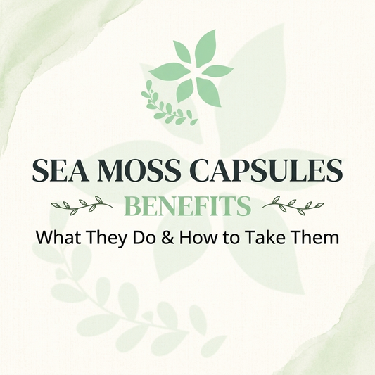 Sea Moss Capsules Benefits and How to Take Them