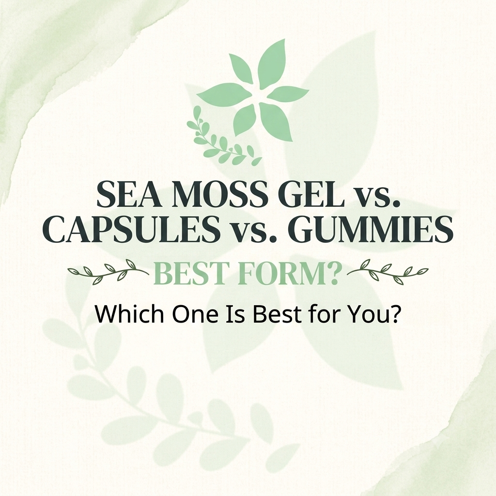 Sea Moss Gel vs Capsules vs Gummies
