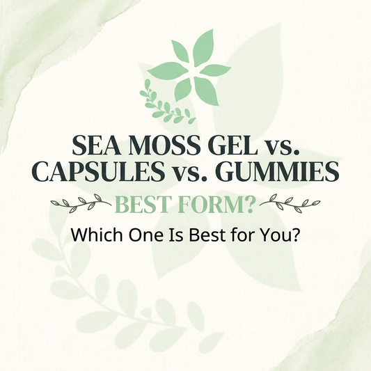 Sea Moss Gel vs Capsules vs Gummies