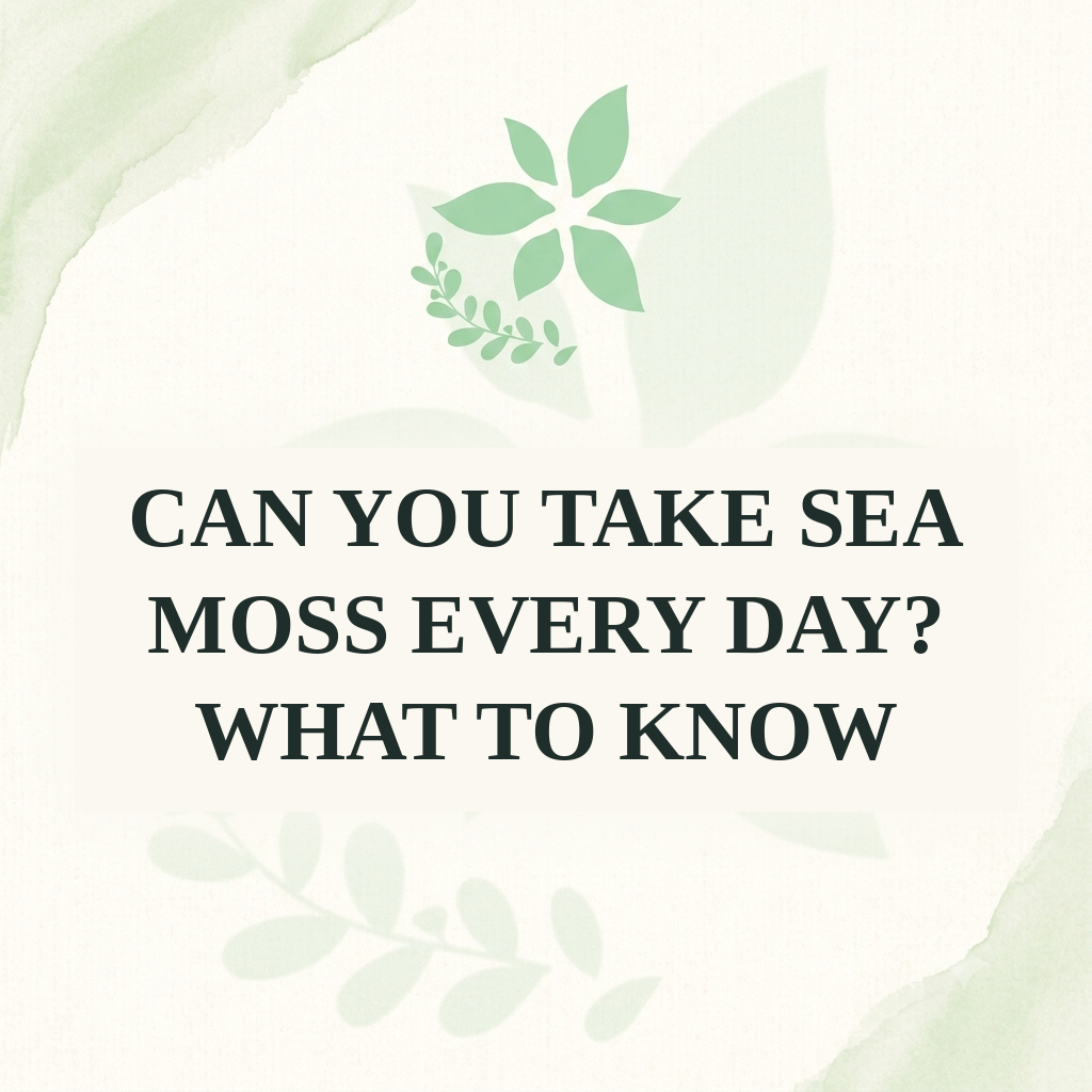 Can You Take Sea Moss Every Day? What to Know