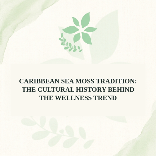 Caribbean Sea Moss Tradition: The Cultural History Behind the Wellness Trend