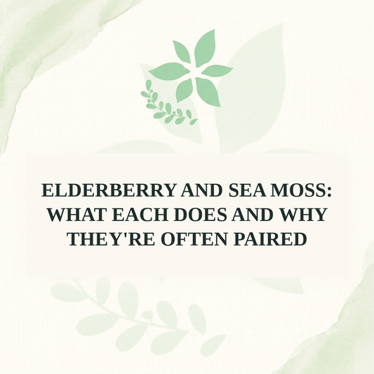 Elderberry and Sea Moss: What Each Does and Why They're Often Paired