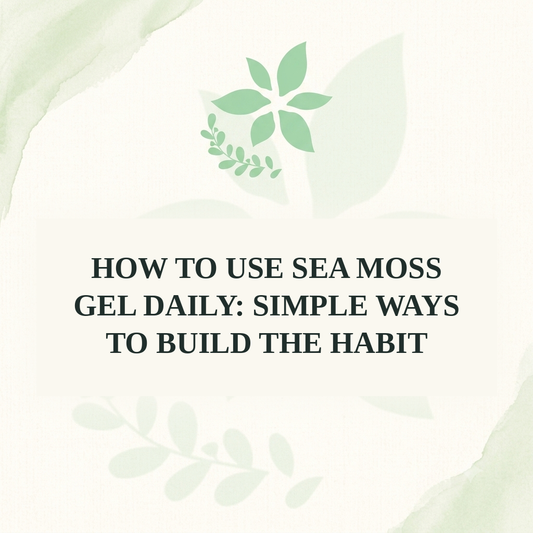 How to Use Sea Moss Gel Daily: Simple Ways to Build the Habit