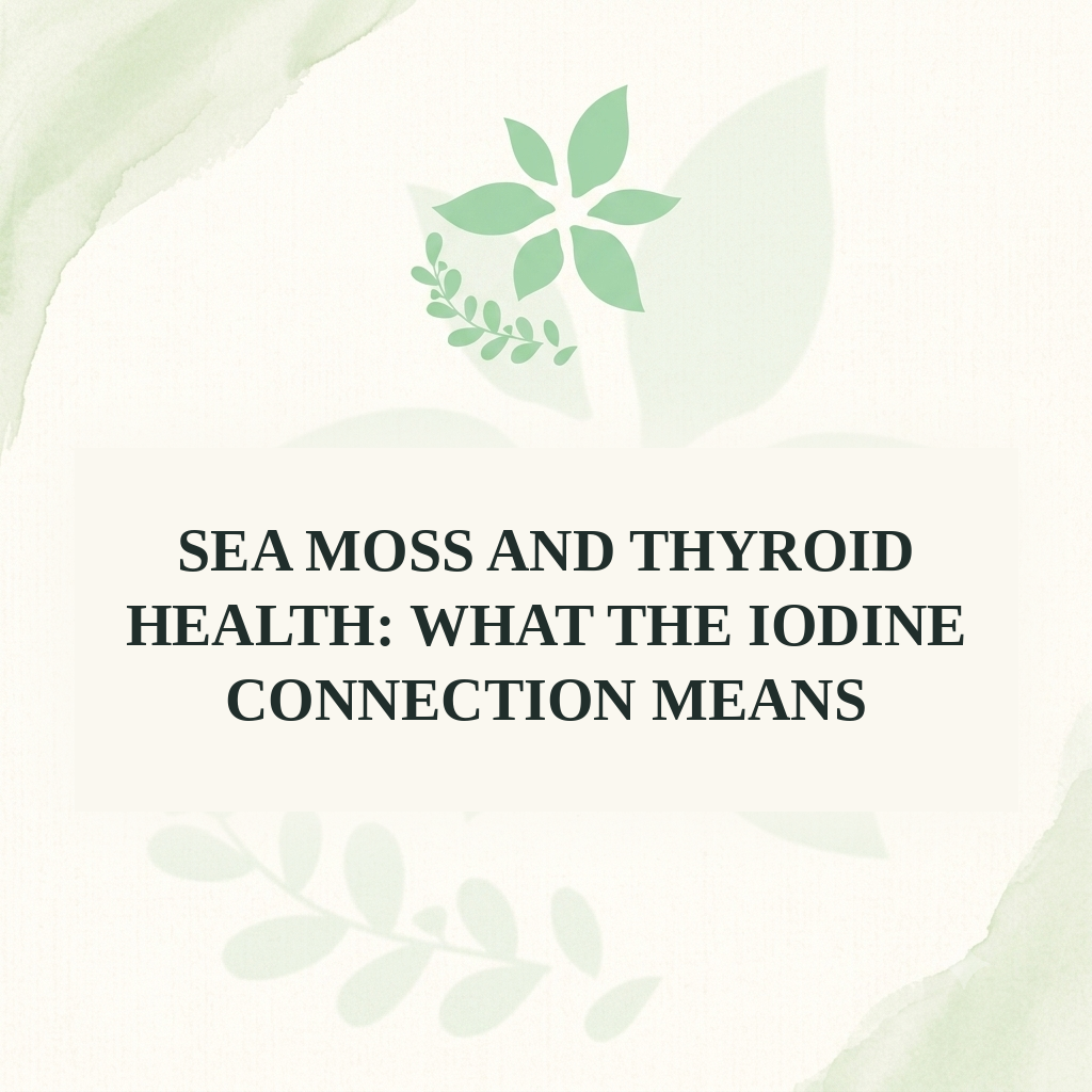 Sea Moss and Thyroid Health: What the Iodine Connection Means