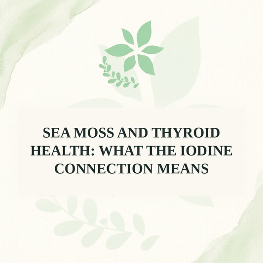 Sea Moss and Thyroid Health: What the Iodine Connection Means