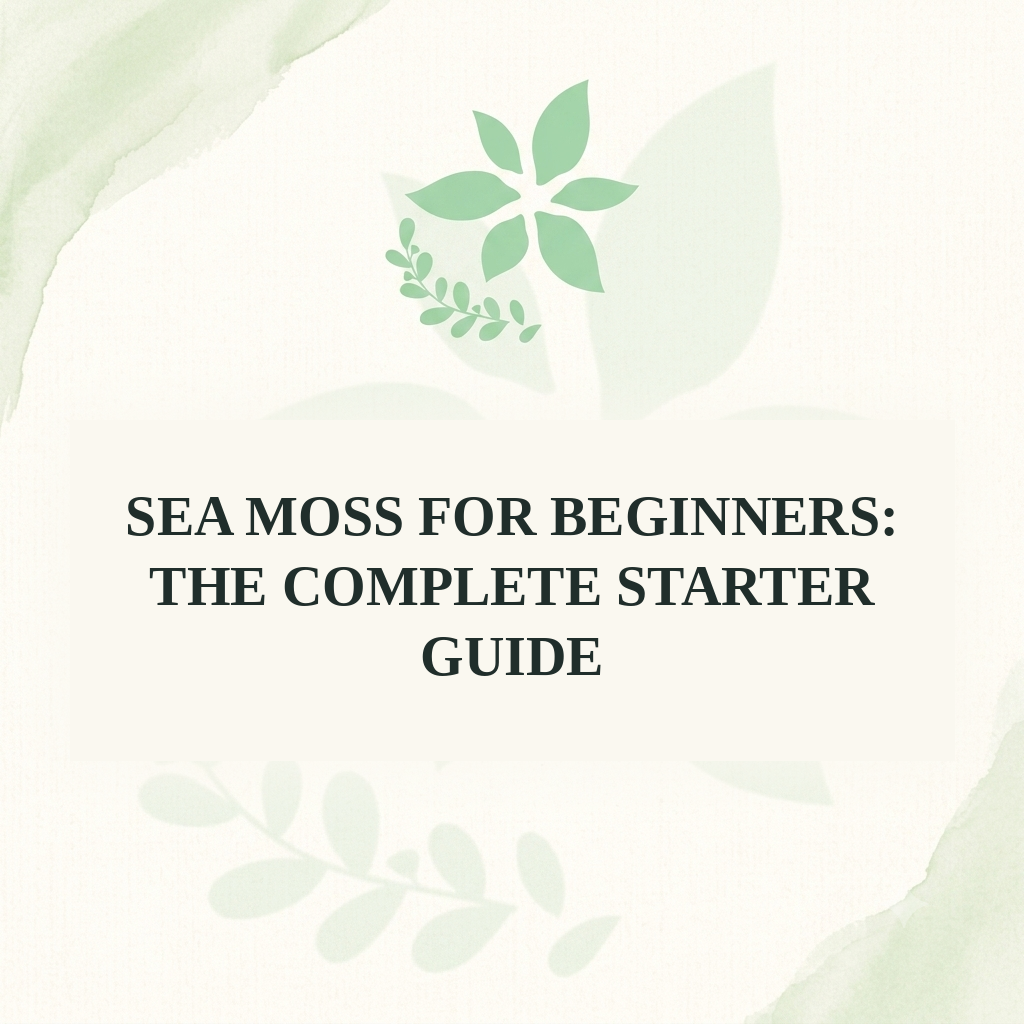 Sea Moss for Beginners: The Complete Starter Guide
