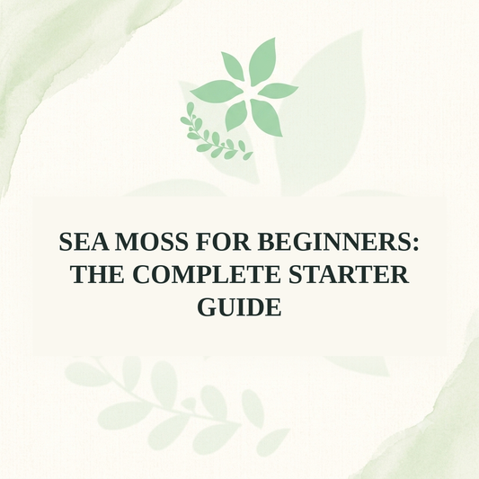 Sea Moss for Beginners: The Complete Starter Guide