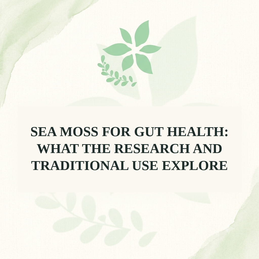 Sea Moss for Gut Health: What the Research and Traditional Use Explore