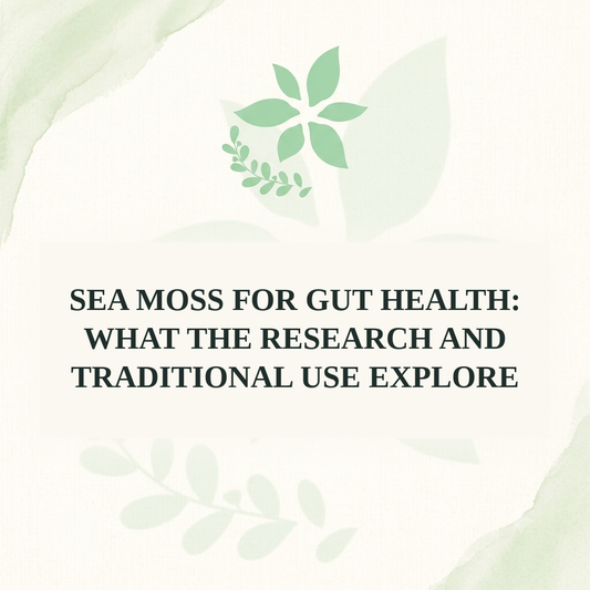 Sea Moss for Gut Health: What the Research and Traditional Use Explore