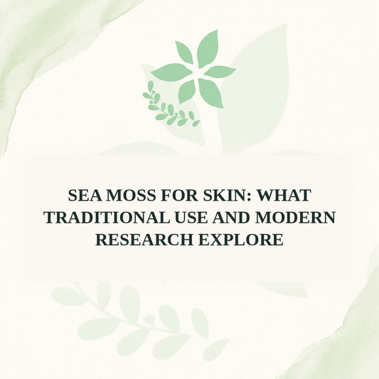 Sea Moss for Skin: What Traditional Use and Modern Research Explore