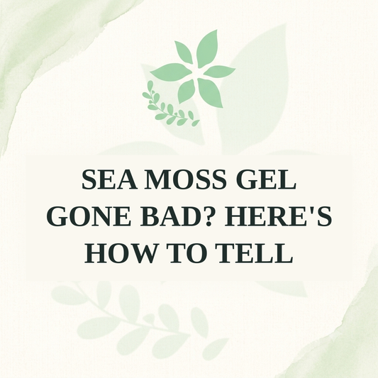 Sea Moss Gel Gone Bad? Here's How to Tell