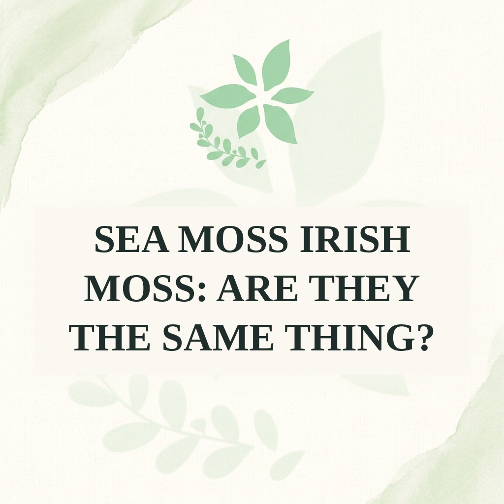 Sea Moss Irish Moss: Are They the Same Thing?
