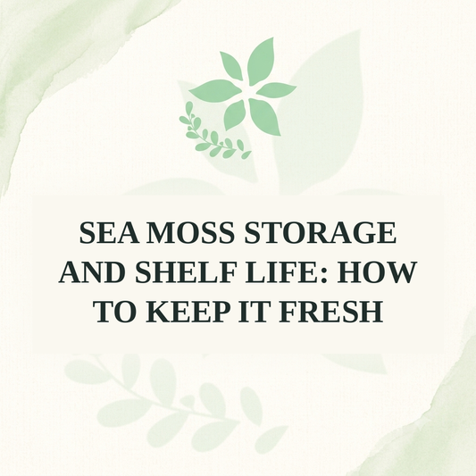 Sea Moss Storage and Shelf Life: How to Keep It Fresh