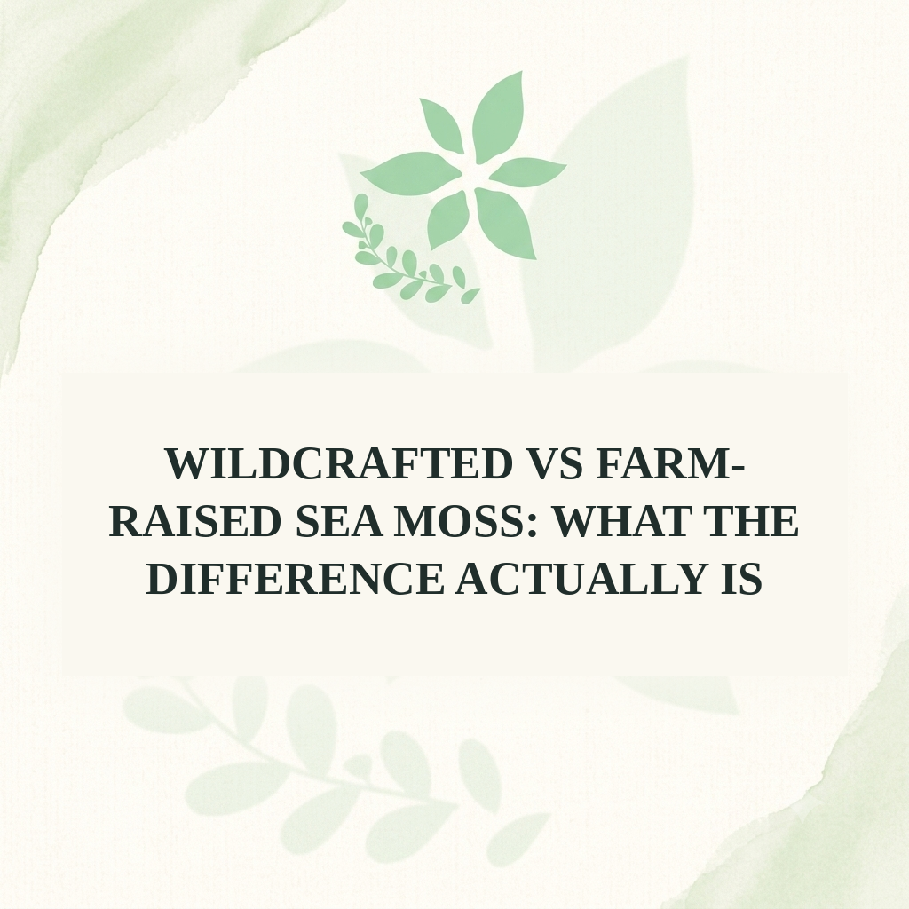 Wildcrafted vs Farm-Raised Sea Moss: What the Difference Actually Is