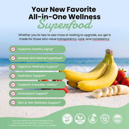 Sweet Strawberry Banana Sea Moss Gel 16oz | Wildcrafted & Vegan | Healthy Herbs Store